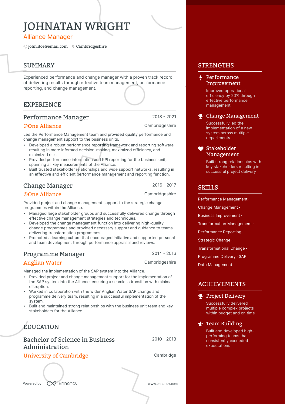 Alliance Manager resume example