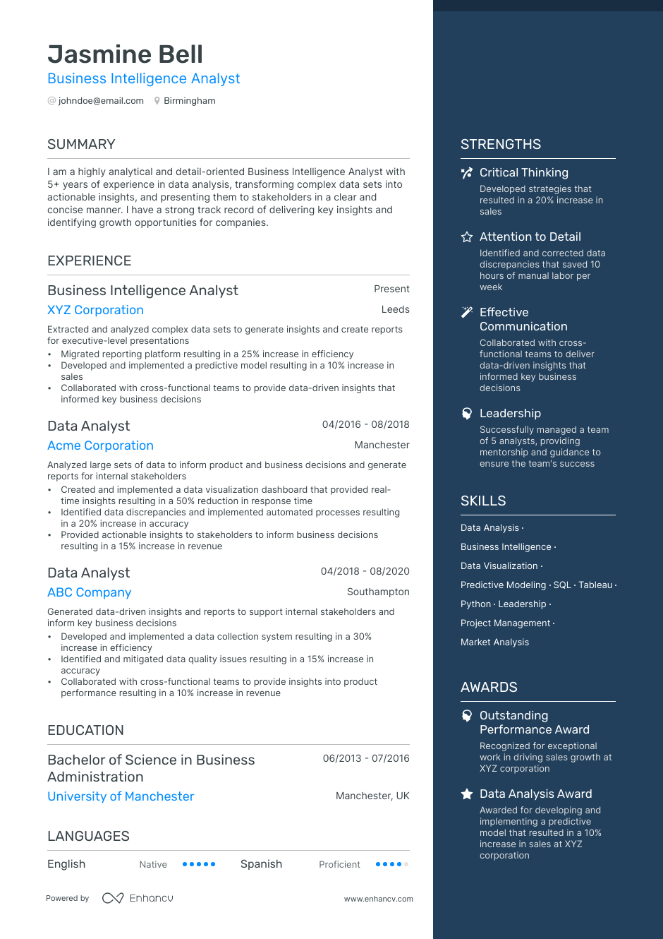 Business Intelligence Cv Examples