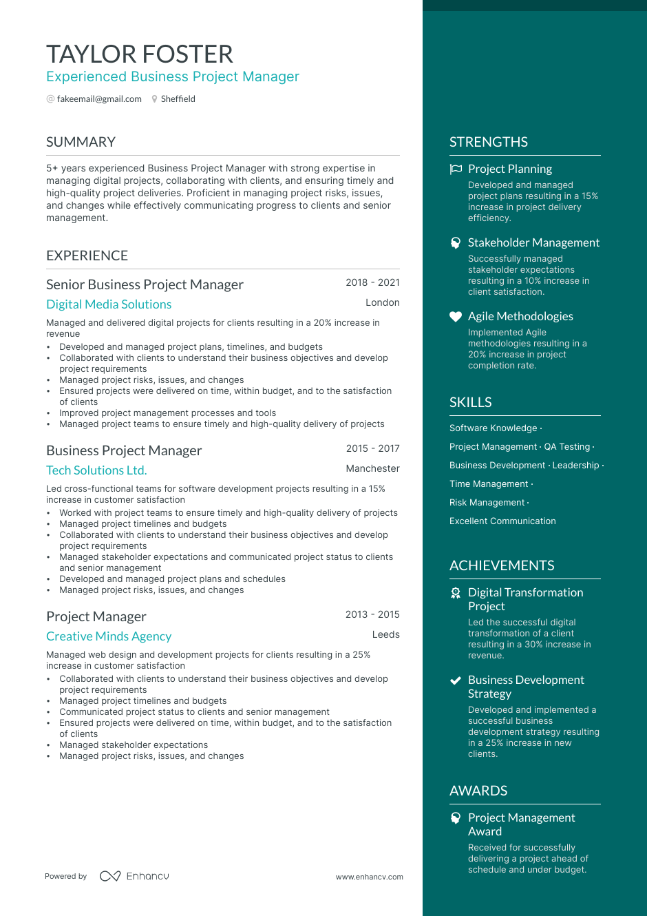 Digital Project Manager Resume Samples