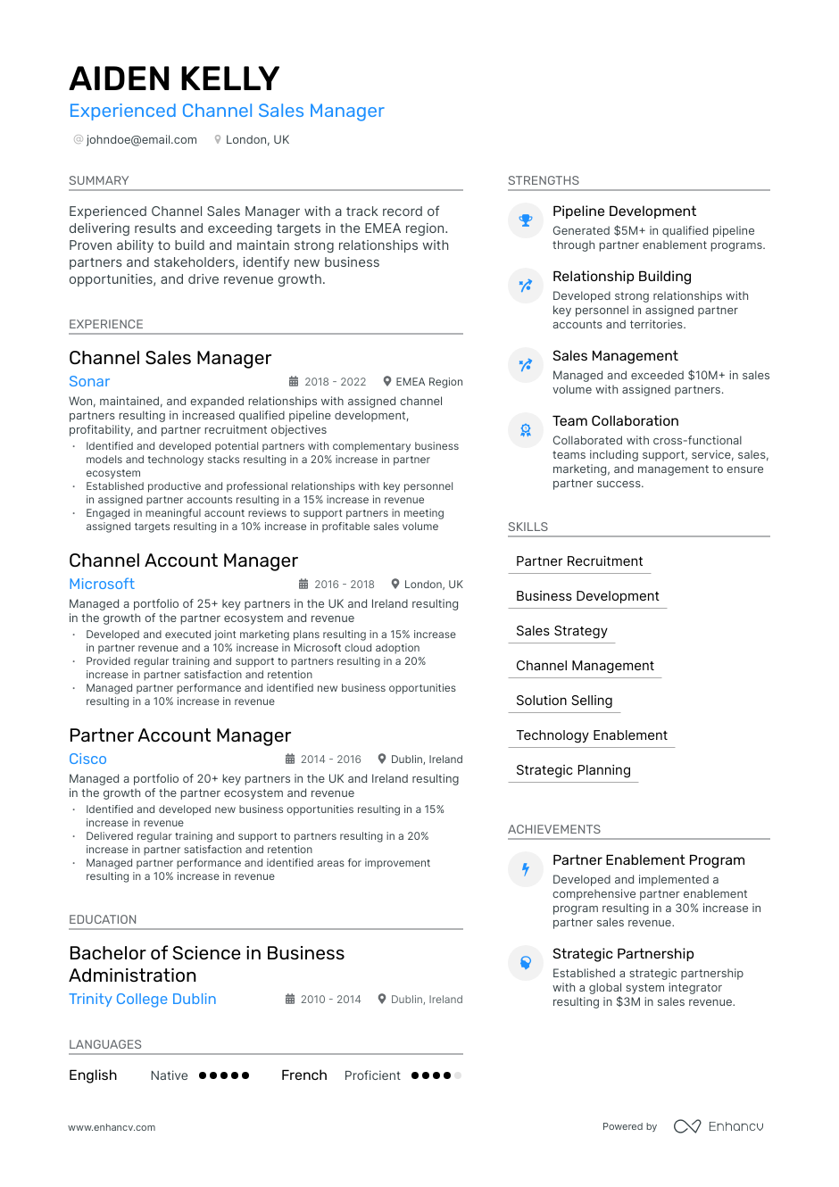 channel sales manager resume example