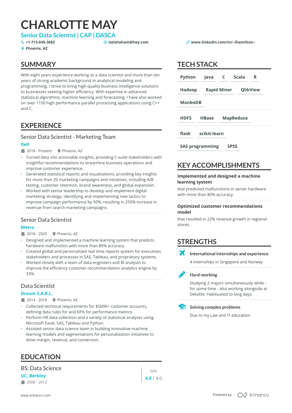 Data Scientist Resume Examples Guide For