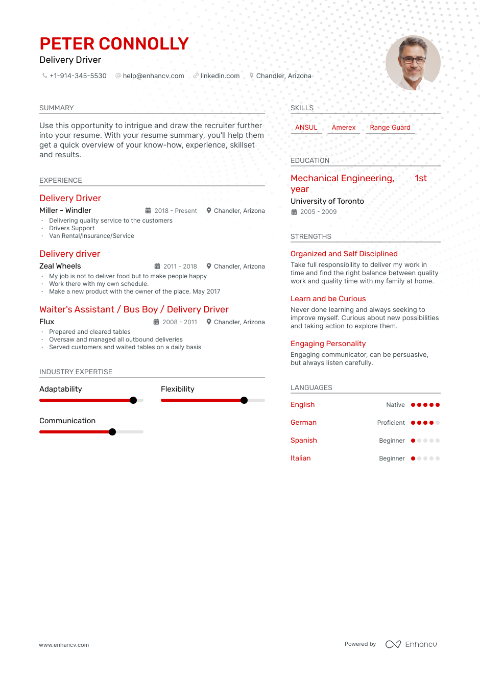 delivery driver resume example