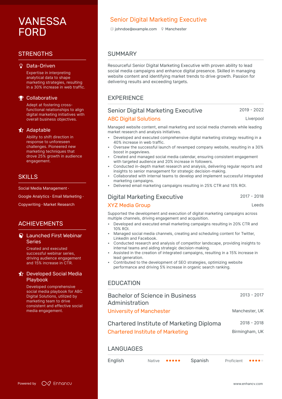 3-digital-marketing-executive-cv-examples-for-2023