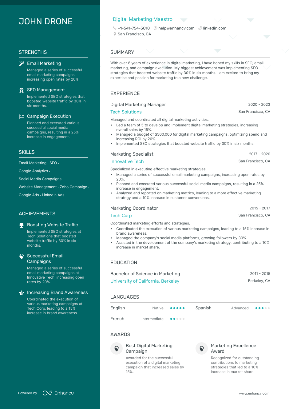 5 Digital Marketing Executive Resume Examples & Guide for 2023