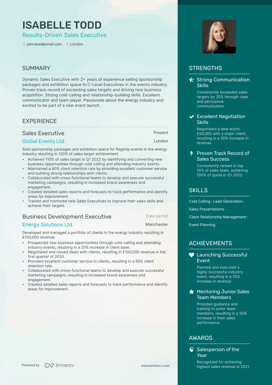 Sales Executive Cv Example