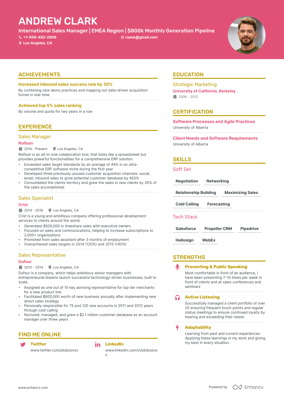 9 Sales Manager Resume Examples and Guide for 2023