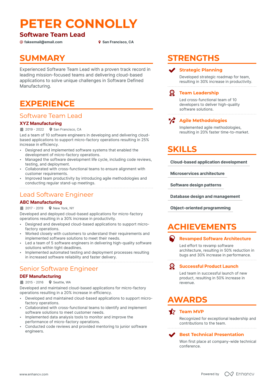 software team lead resume example
