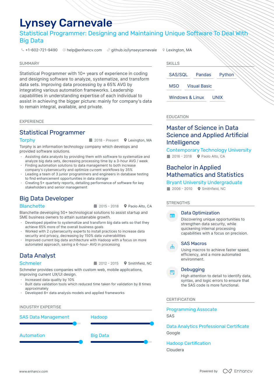 5 Statistical Programmer Resume Examples & Guide for 2023