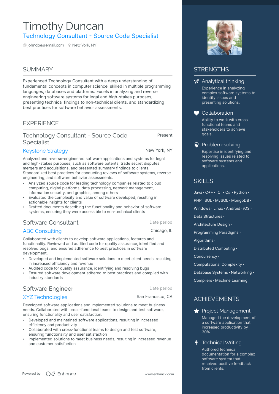 technology consultant resume example