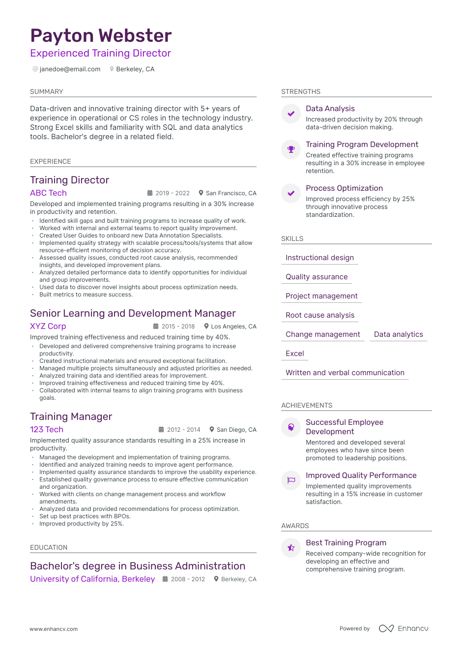 Training Director resume example