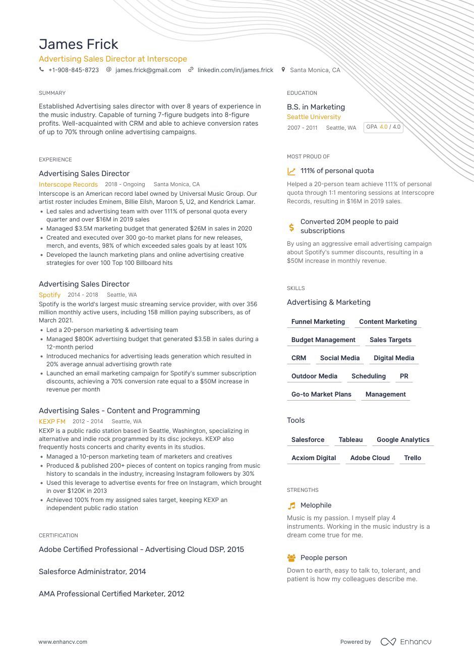 Sales Director Resume Examples: Templates & How-To Guide (Layout, Skills,  Keywords & Job Description)