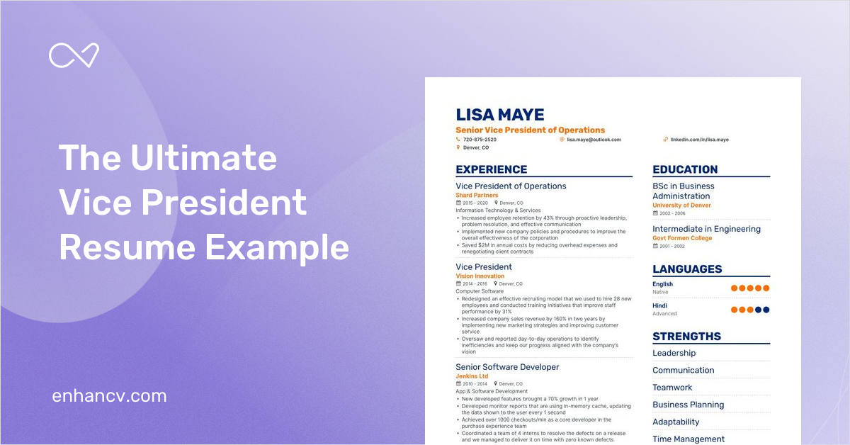 5-vice-president-resume-examples-guide-for-2023